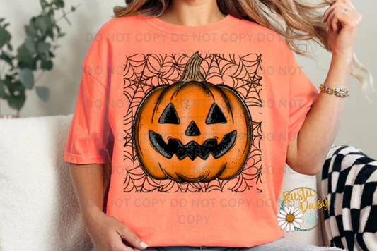 Jack O Lantern Spiderwebs