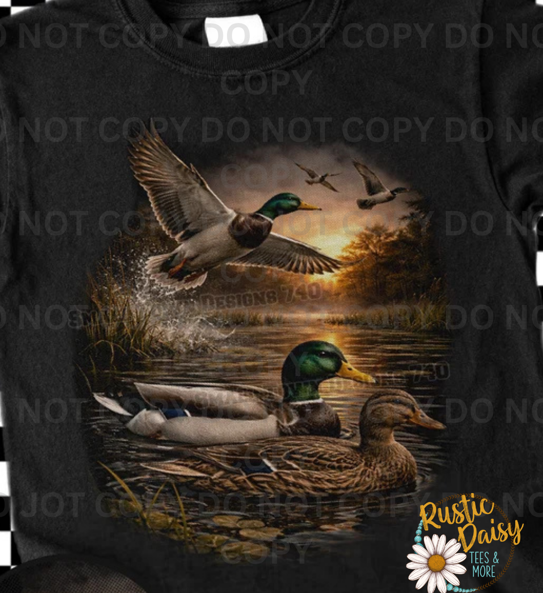 Mallard Ducks In Water