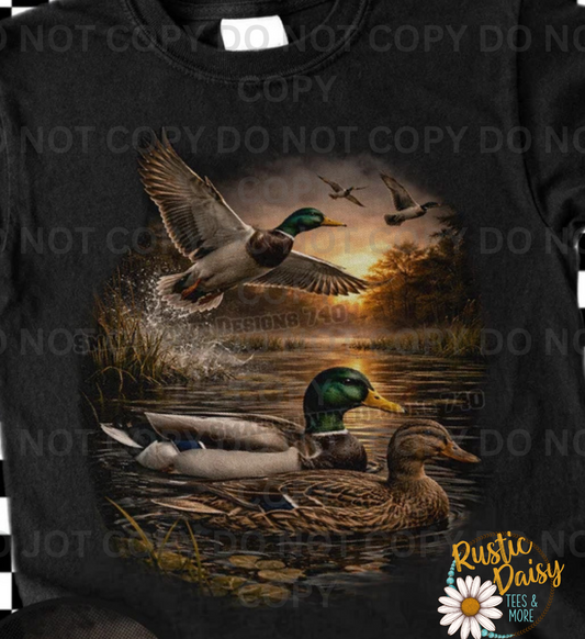 Mallard Ducks In Water